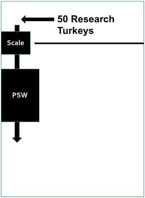 Growth Dependent Changes in Pressure Sensing Walkway Data for Turkeys